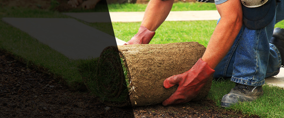 Coker Landscapers